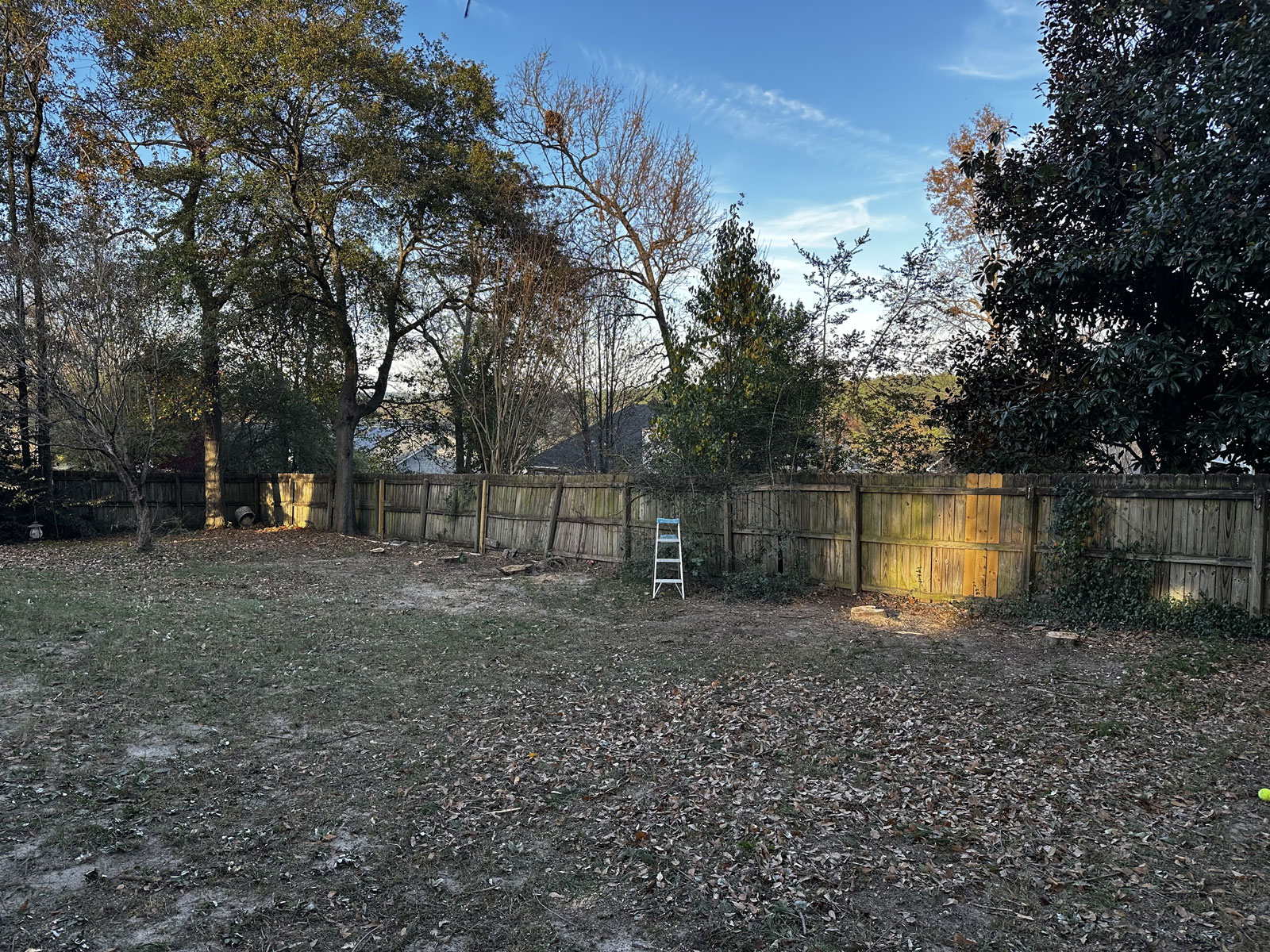 tree removal service augusta aiken csra