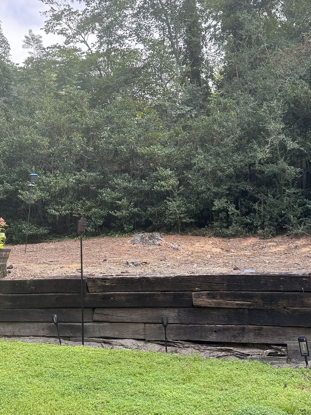 dead tree removal service augusta aiken csra