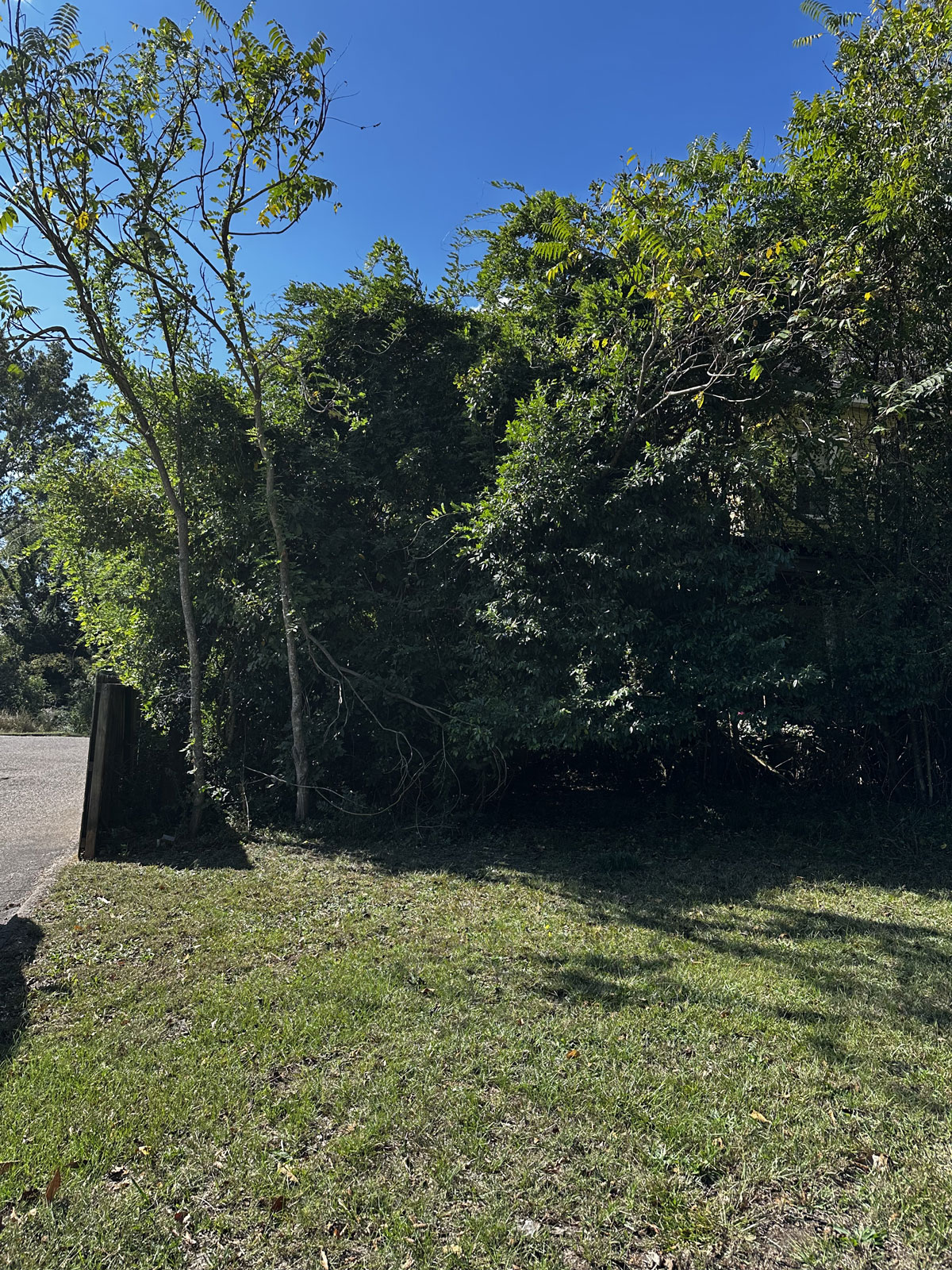 property overgrowth clearing service augusta aiken csra