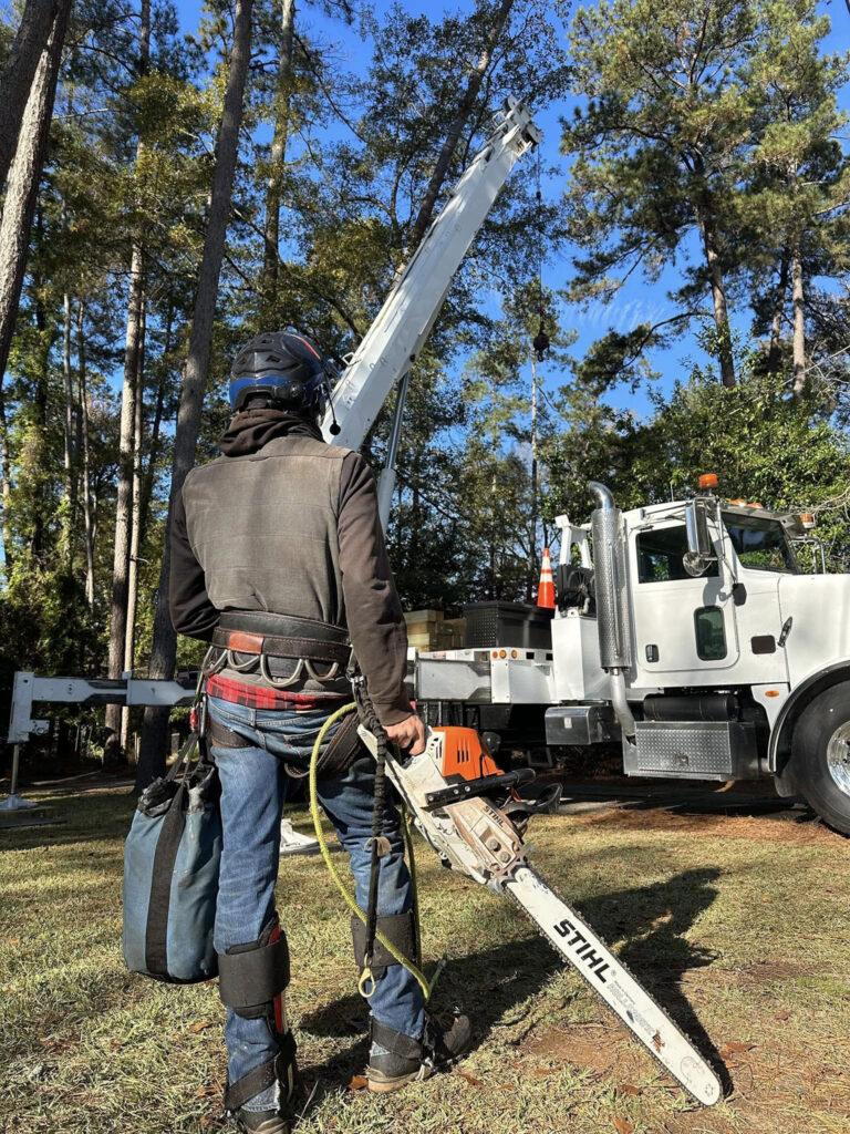uprooted tree care csra augusta aiken